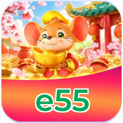 Como instalar o app da e55