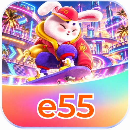 e55 VIP Program
